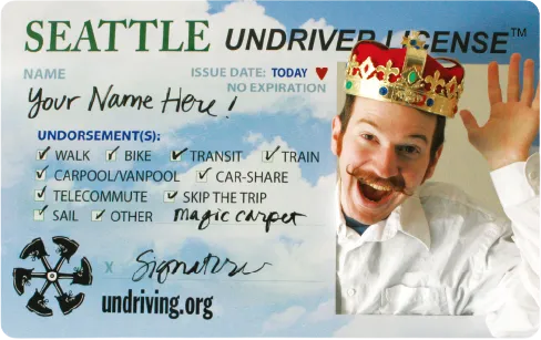 Sample Undriver License